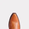 Roadrunner :: Cognac