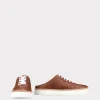 Saddle Mule :: Whiskey