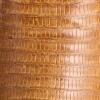 Tilly Exotic :: Tan
