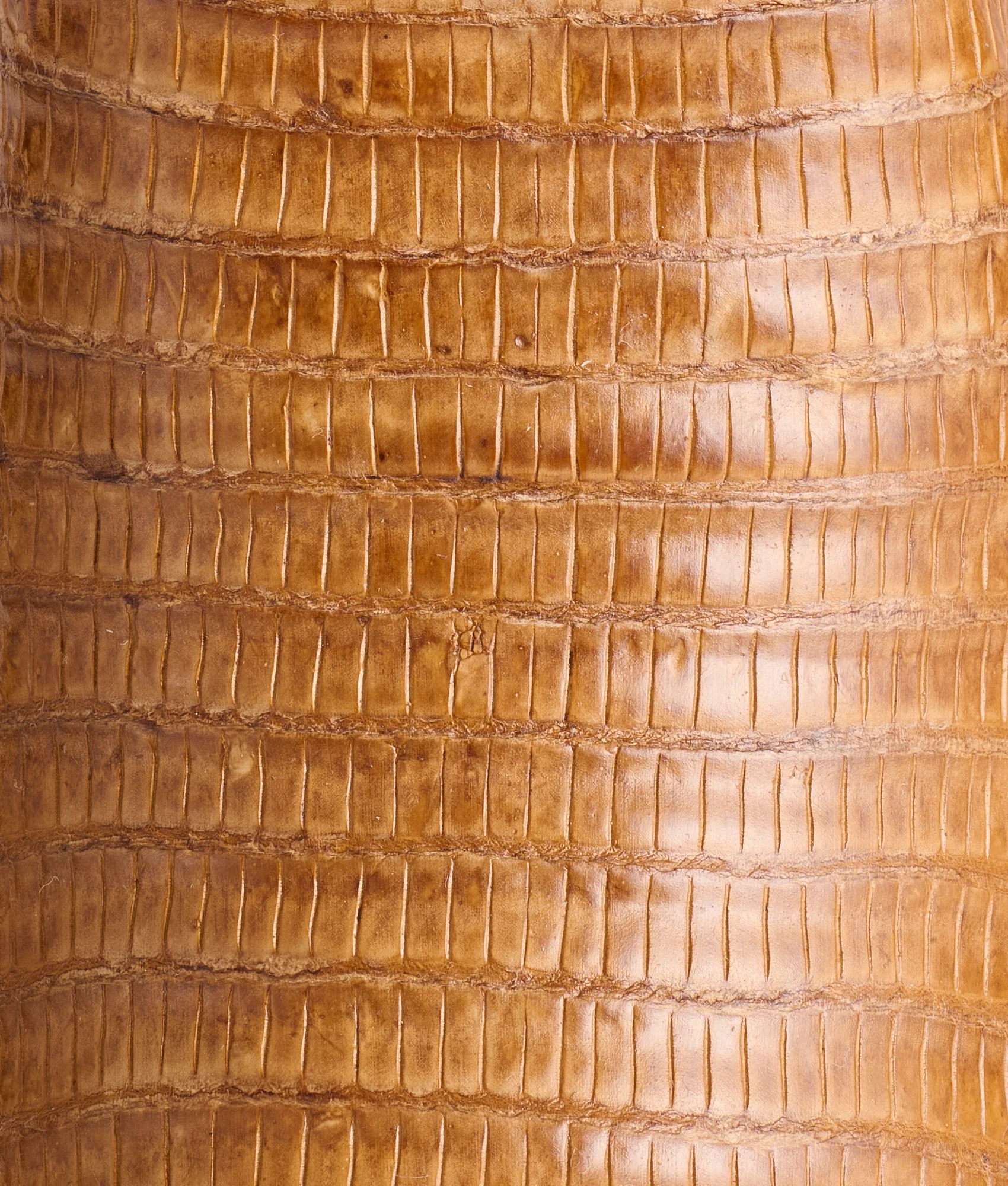 Tilly Exotic :: Tan