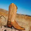 Tilly Exotic :: Tan