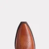Whippoorwill :: Cognac