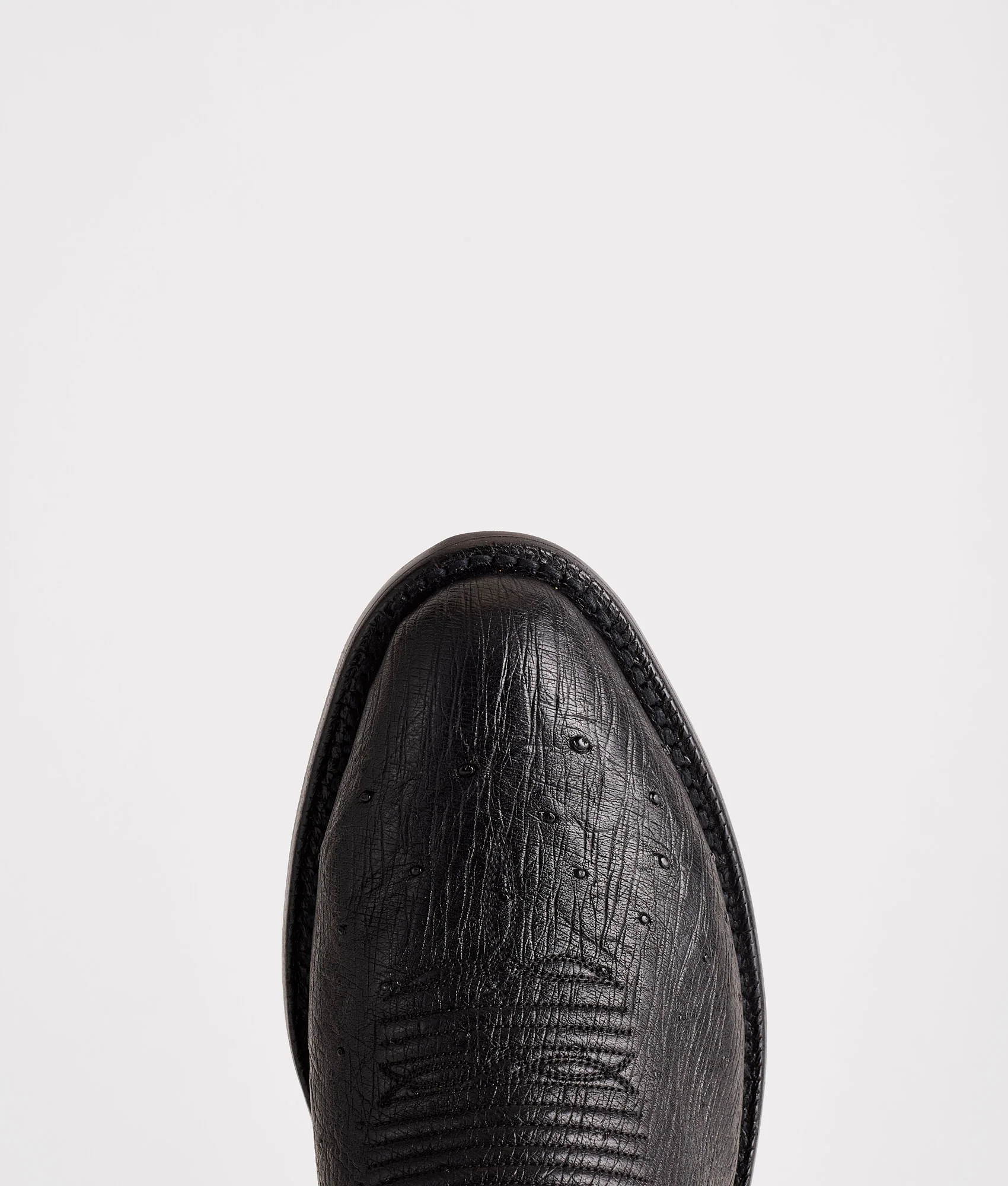 Nathan :: Black + Black Cherry