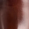 Pronto :: Cognac