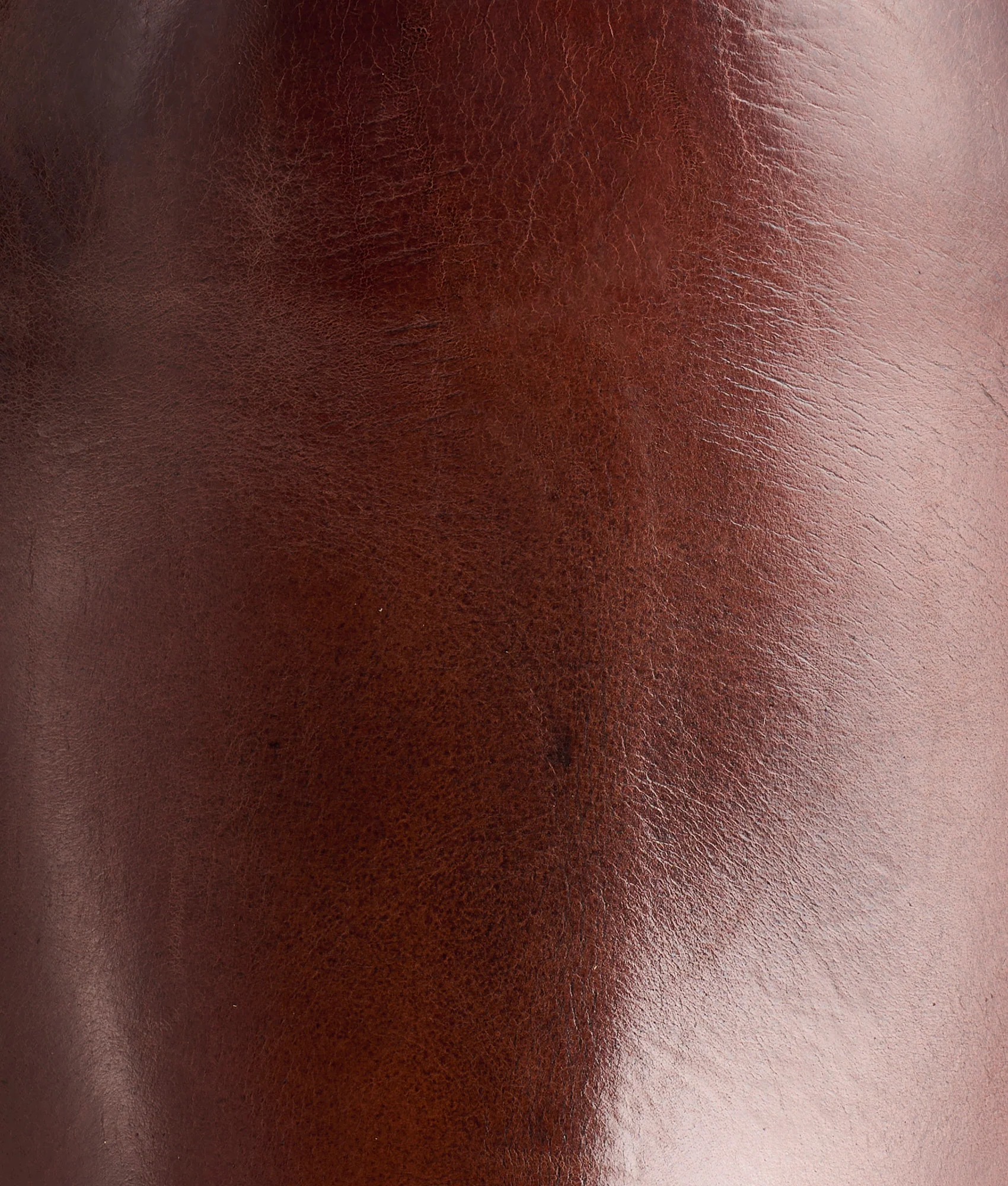 Pronto :: Cognac
