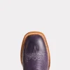 Savannah Horseman :: Purple