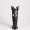 Whippoorwill :: Black
