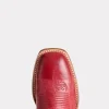 Savannah Horseman :: Red