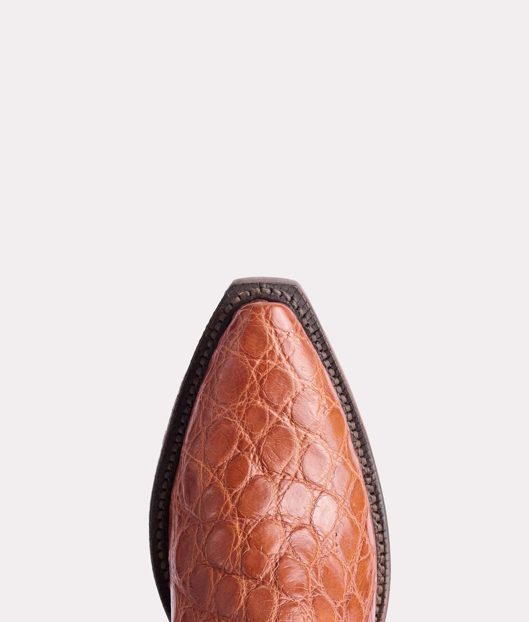 Lady :: Cognac
