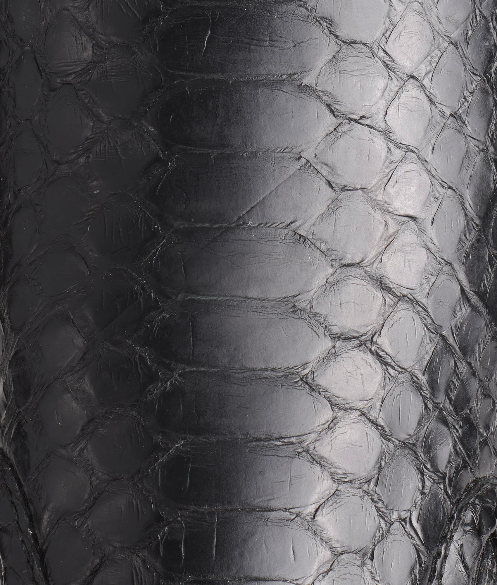 Mosaico Slip On :: Black Python