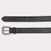 American Alligator :: Black
