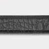 American Alligator :: Black