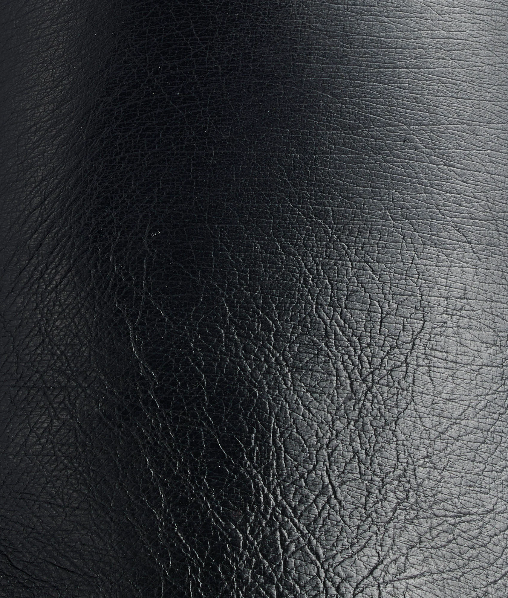 Ridgeline Exotic Pull On :: Black