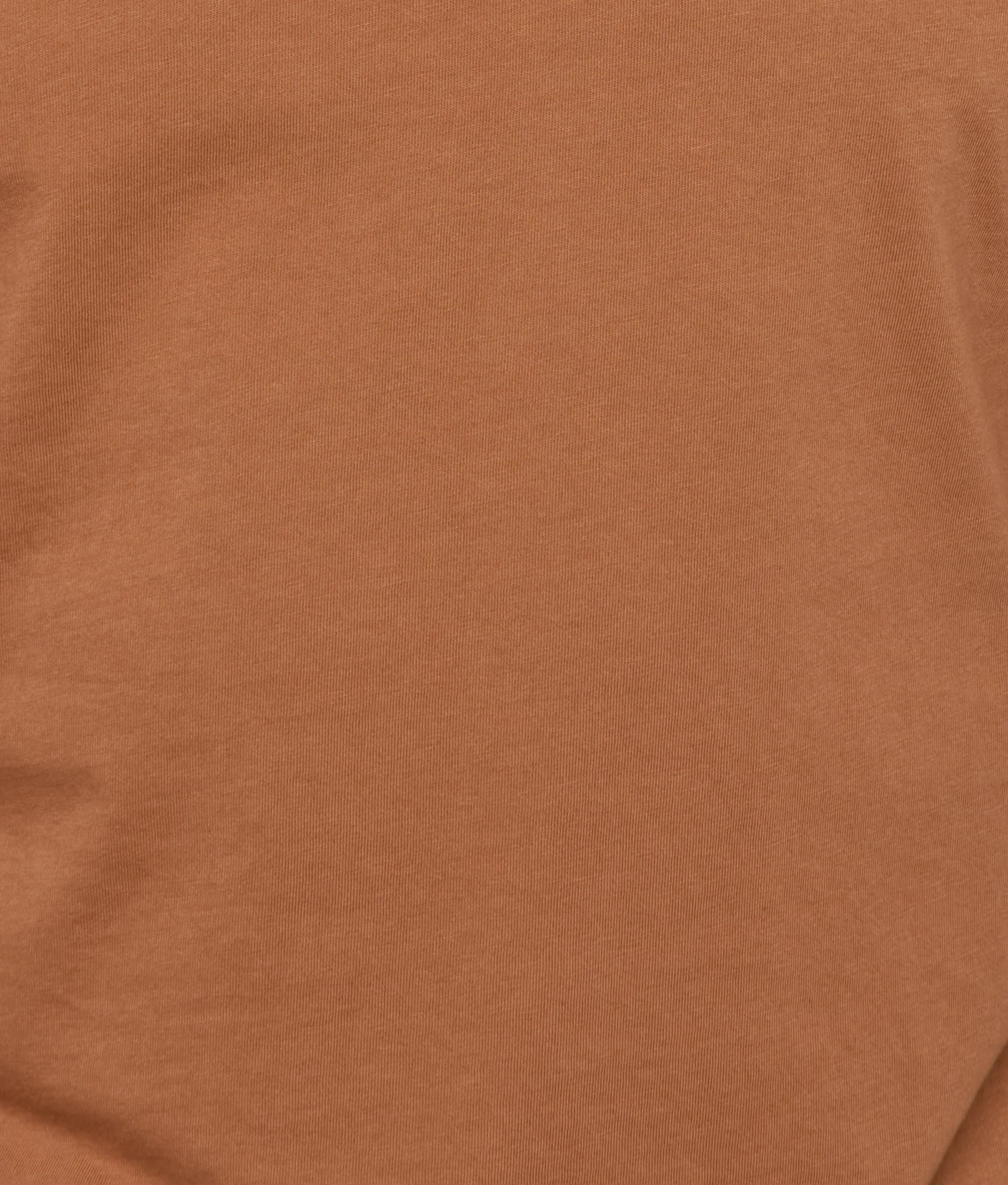 Eagle Stamp Tee :: Brown