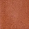 Cosimo Bifold Wallet :: Cognac