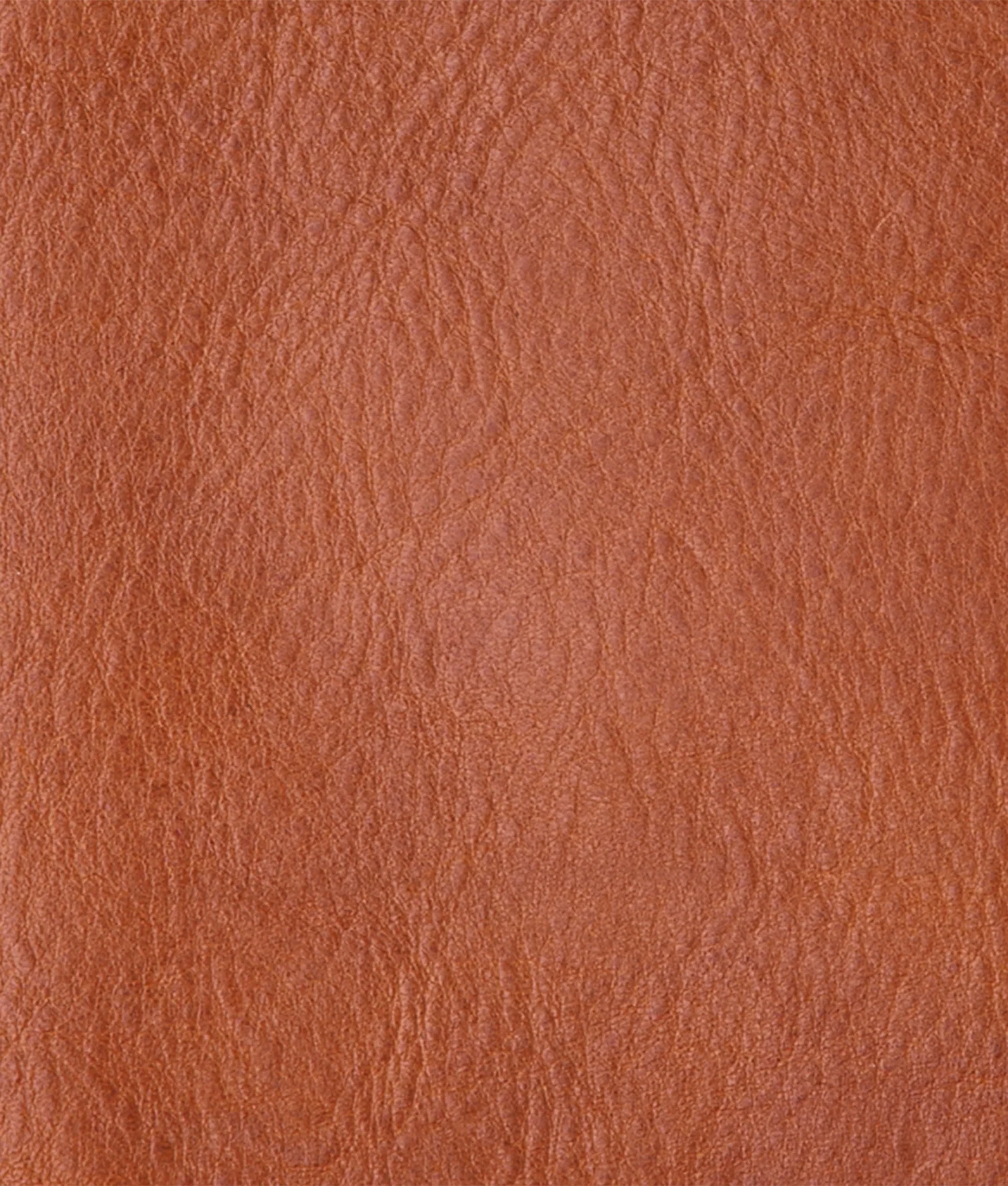Cosimo Bifold Wallet :: Cognac