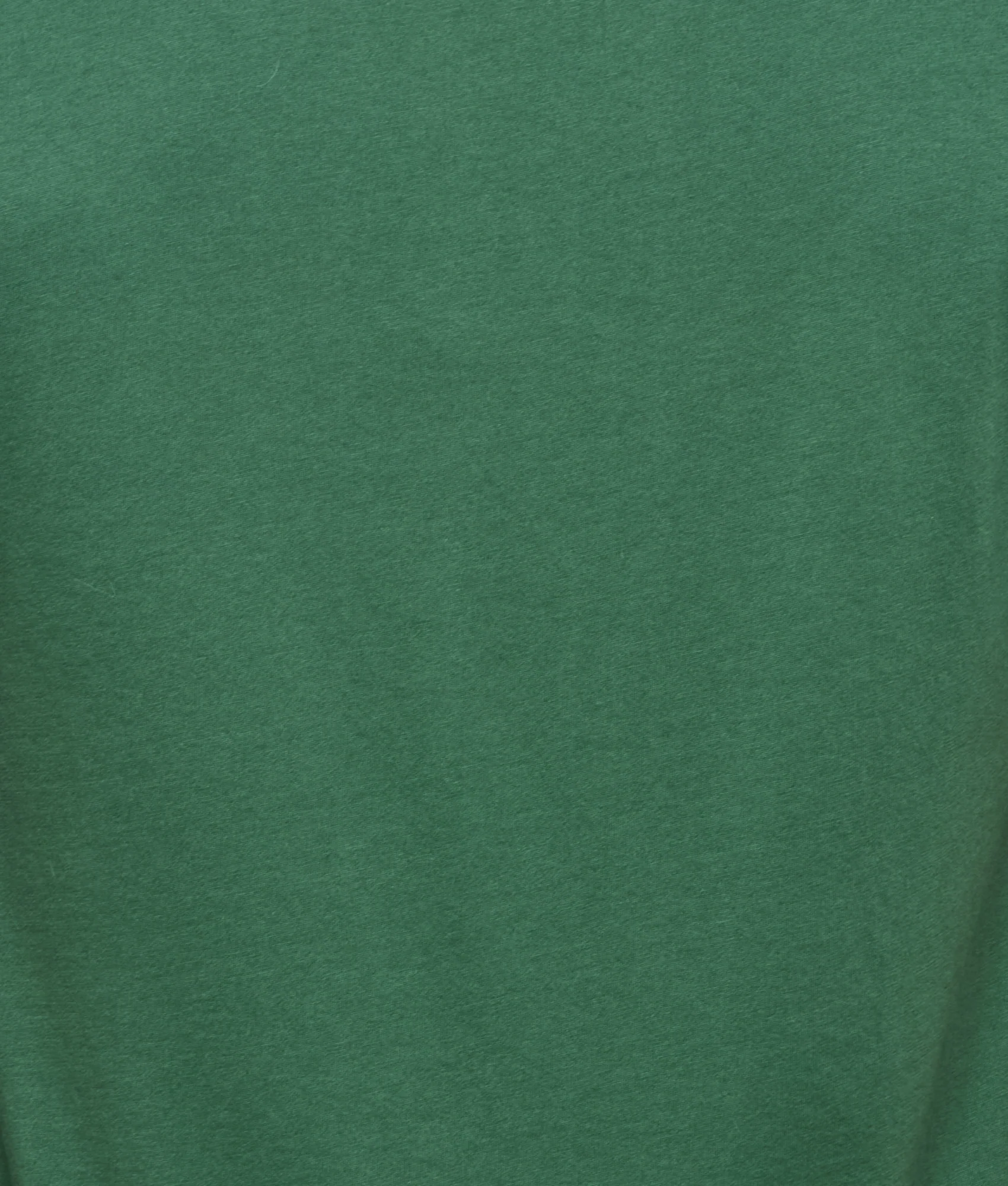 11291-lucchese-crew-neck-tee-loden-green-6.webp Lucchese Crew Neck Tee :: Loden Green
