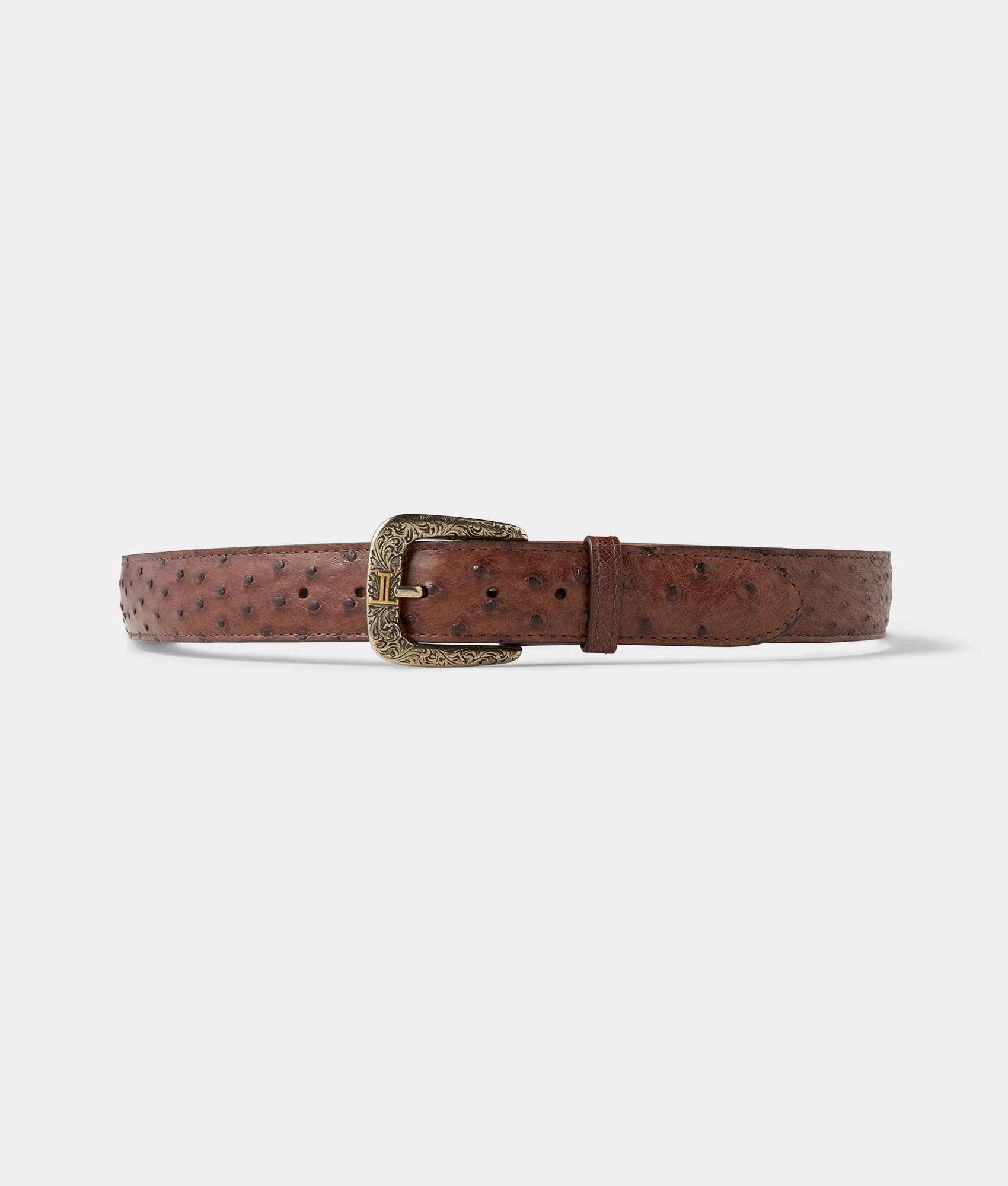 Full Quill Ostrich :: Kango Tobac
