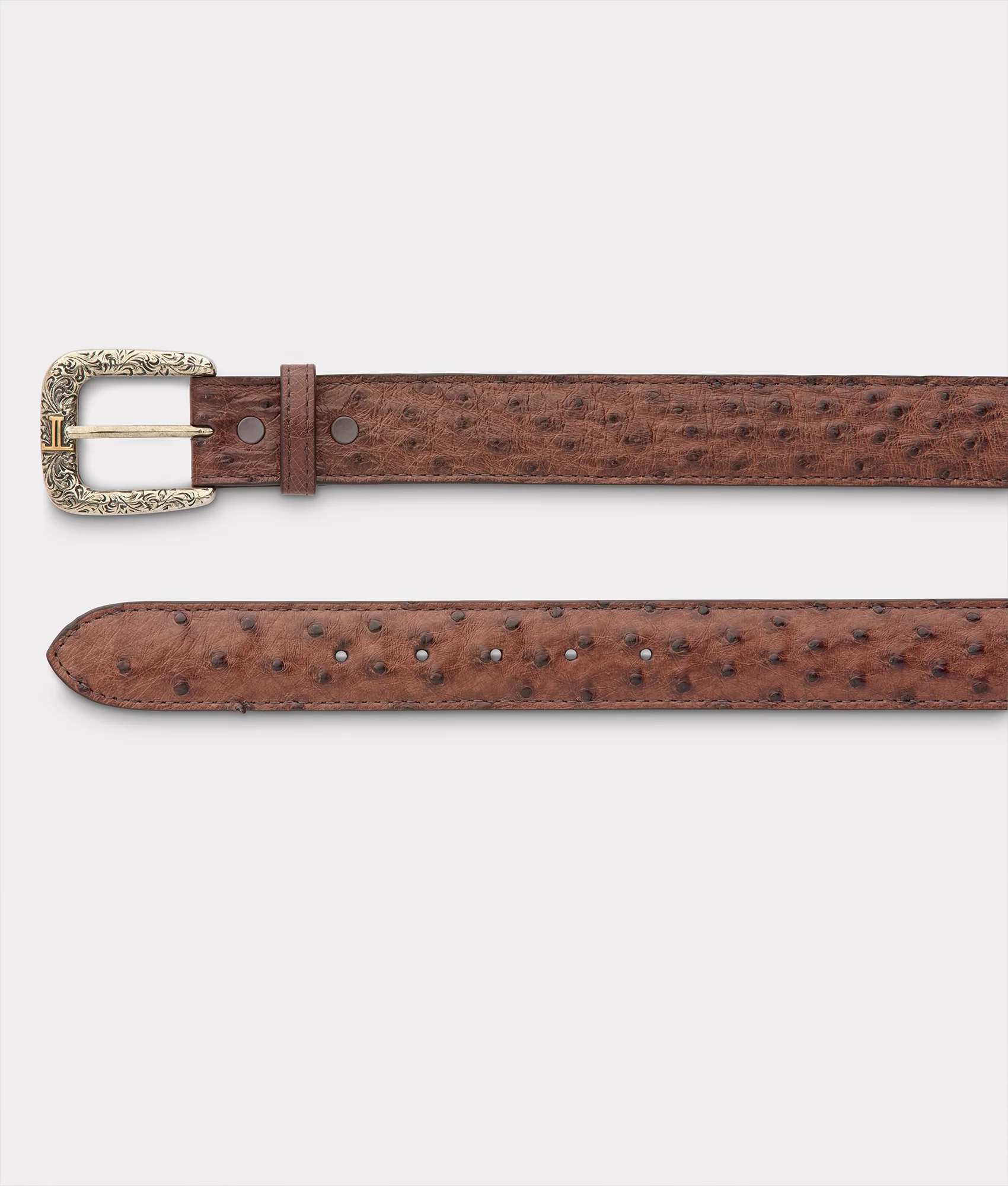 Full Quill Ostrich :: Kango Tobac