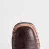 1140-rowdy-caiman-chocolate-7.webp Rowdy Caiman :: Chocolate