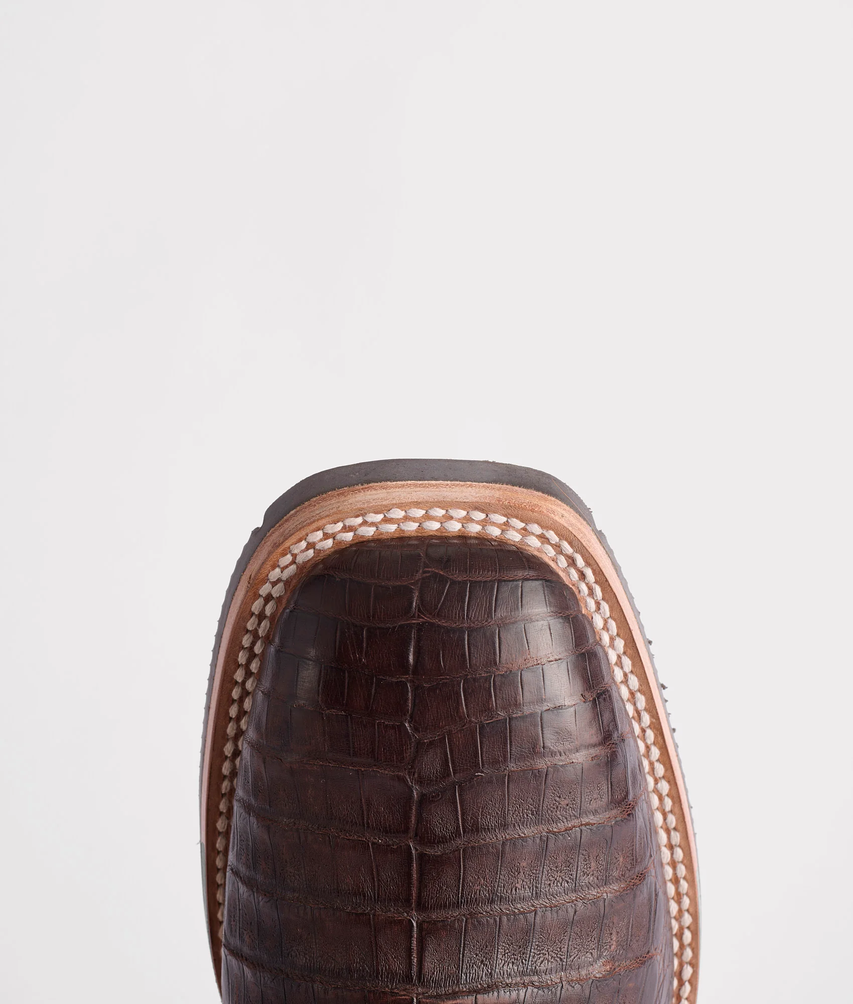 1140-rowdy-caiman-chocolate-7.webp Rowdy Caiman :: Chocolate