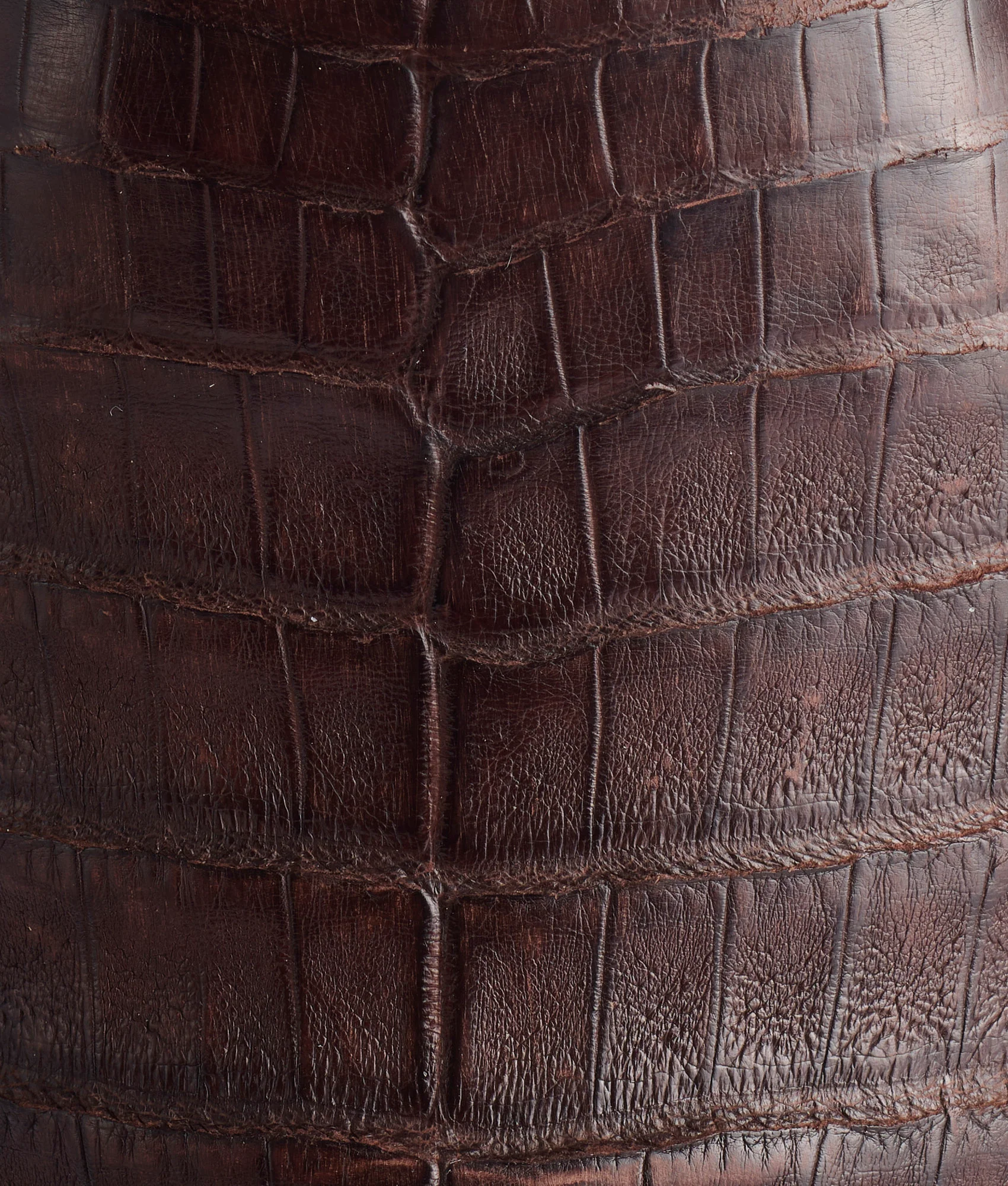 1140-rowdy-caiman-chocolate-8.webp Rowdy Caiman :: Chocolate