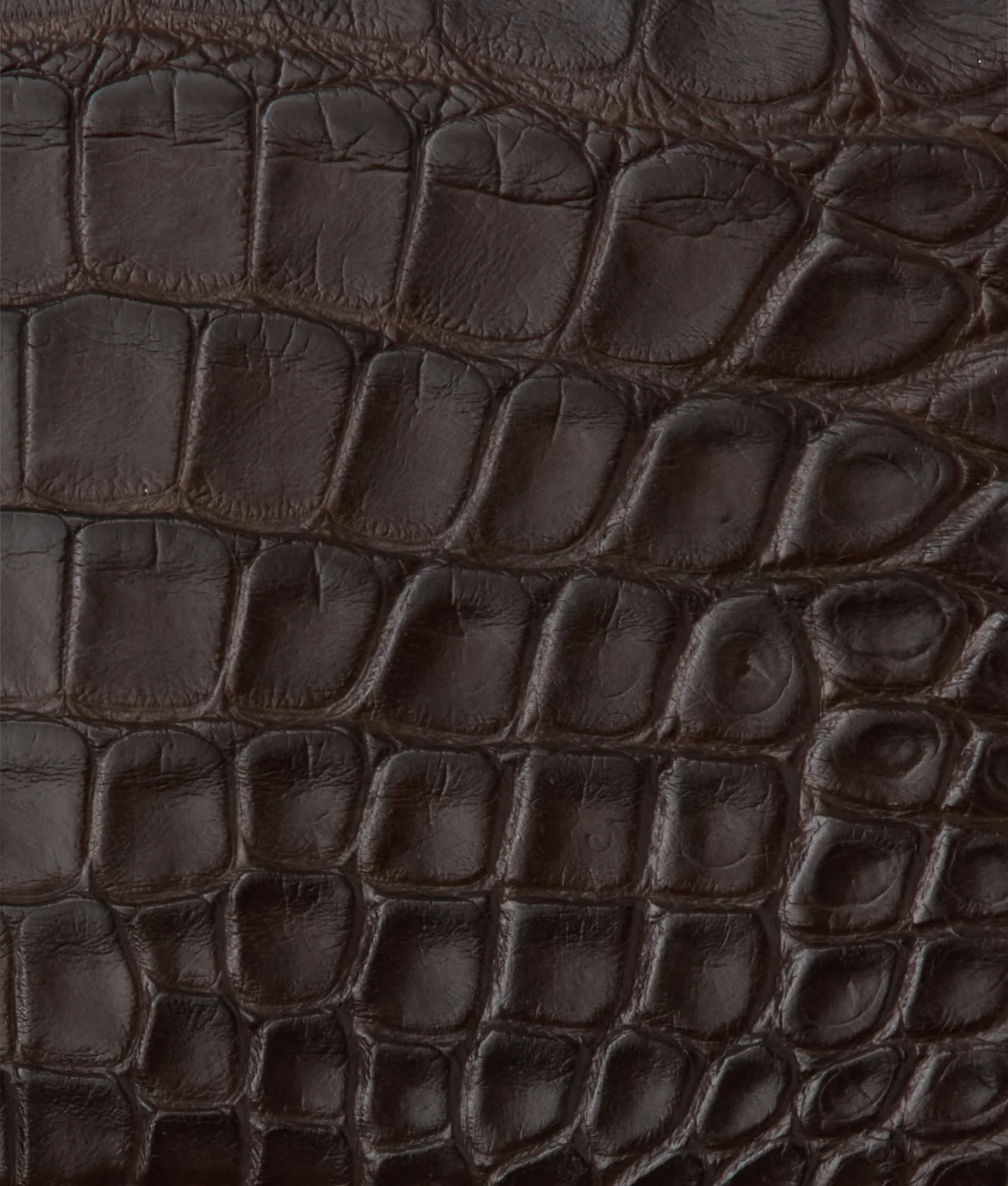 Hipster Wallet - American Alligator :: Chocolate