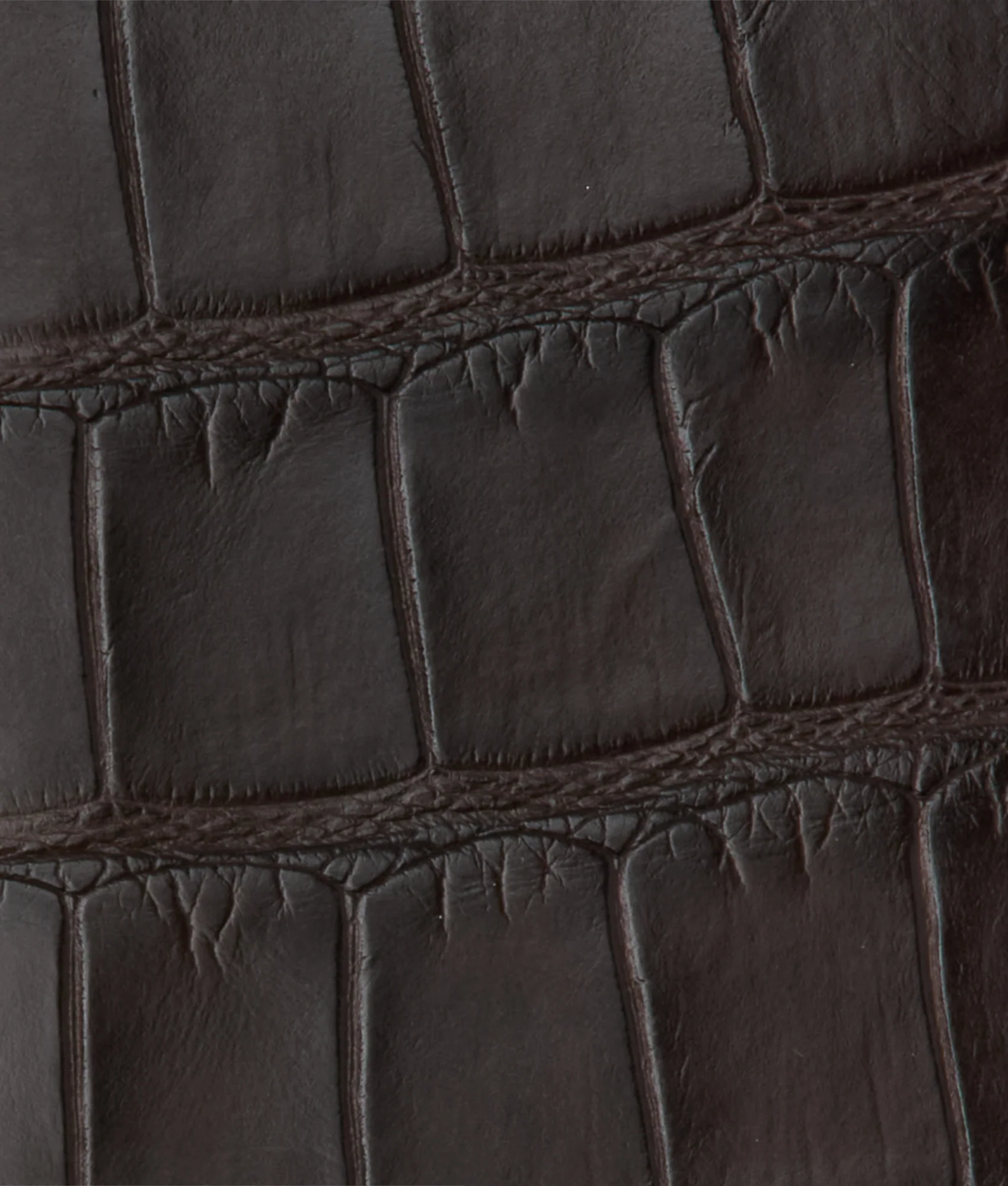 Bifold Wallet - American Alligator :: Chocolate