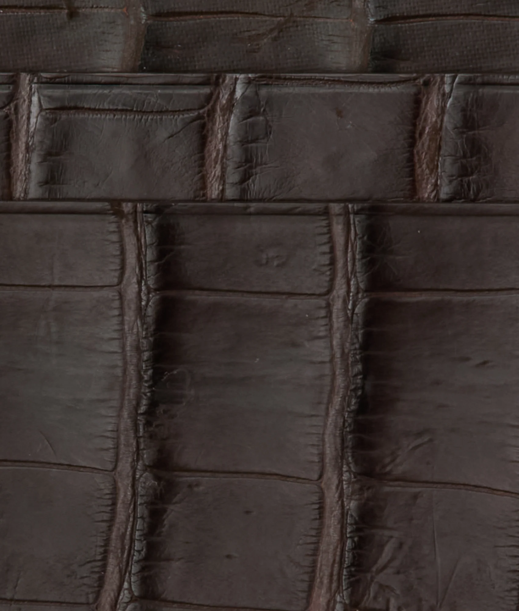 Card Case - American Alligator :: Chocolate