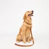 Dog Leash :: Tan