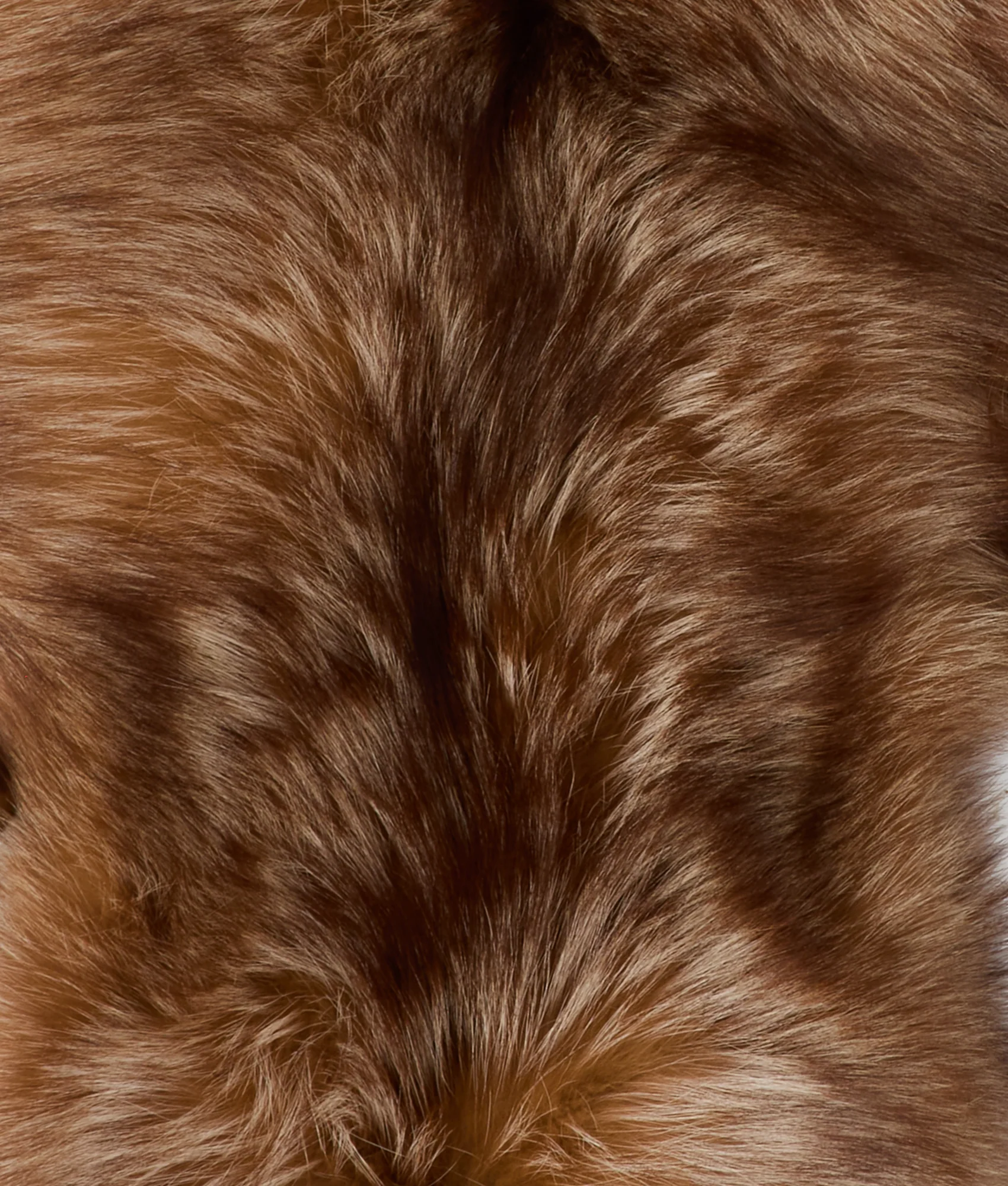 Pelliccia Handwarmer Scarf :: Brown