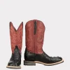 1161-rowdy-hornback-caiman-black-2.webp Rowdy Hornback Caiman :: Black