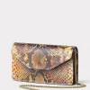 Exotic Long Wallet On A Chain :: Multi Python