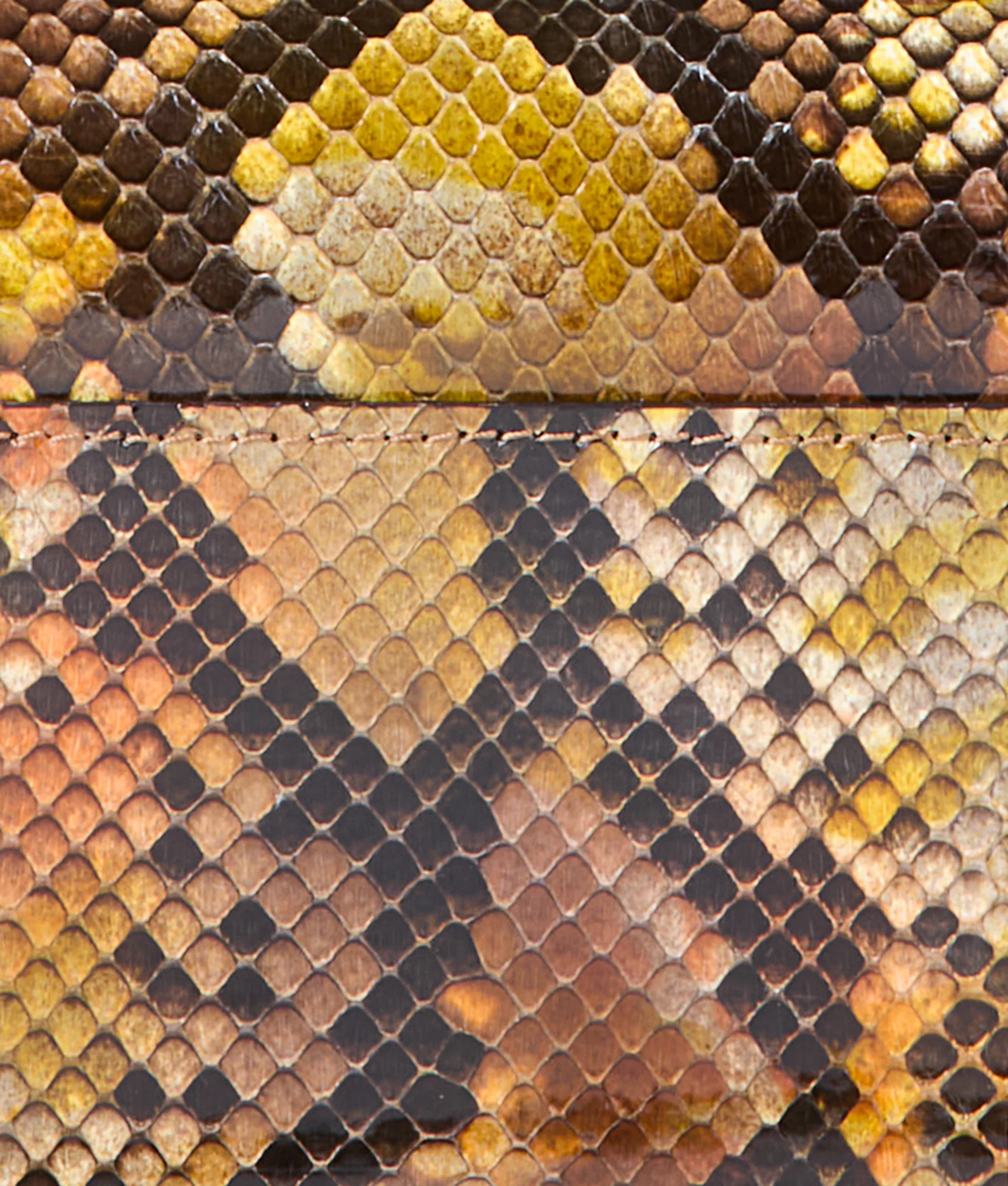 Exotic Long Wallet On A Chain :: Multi Python