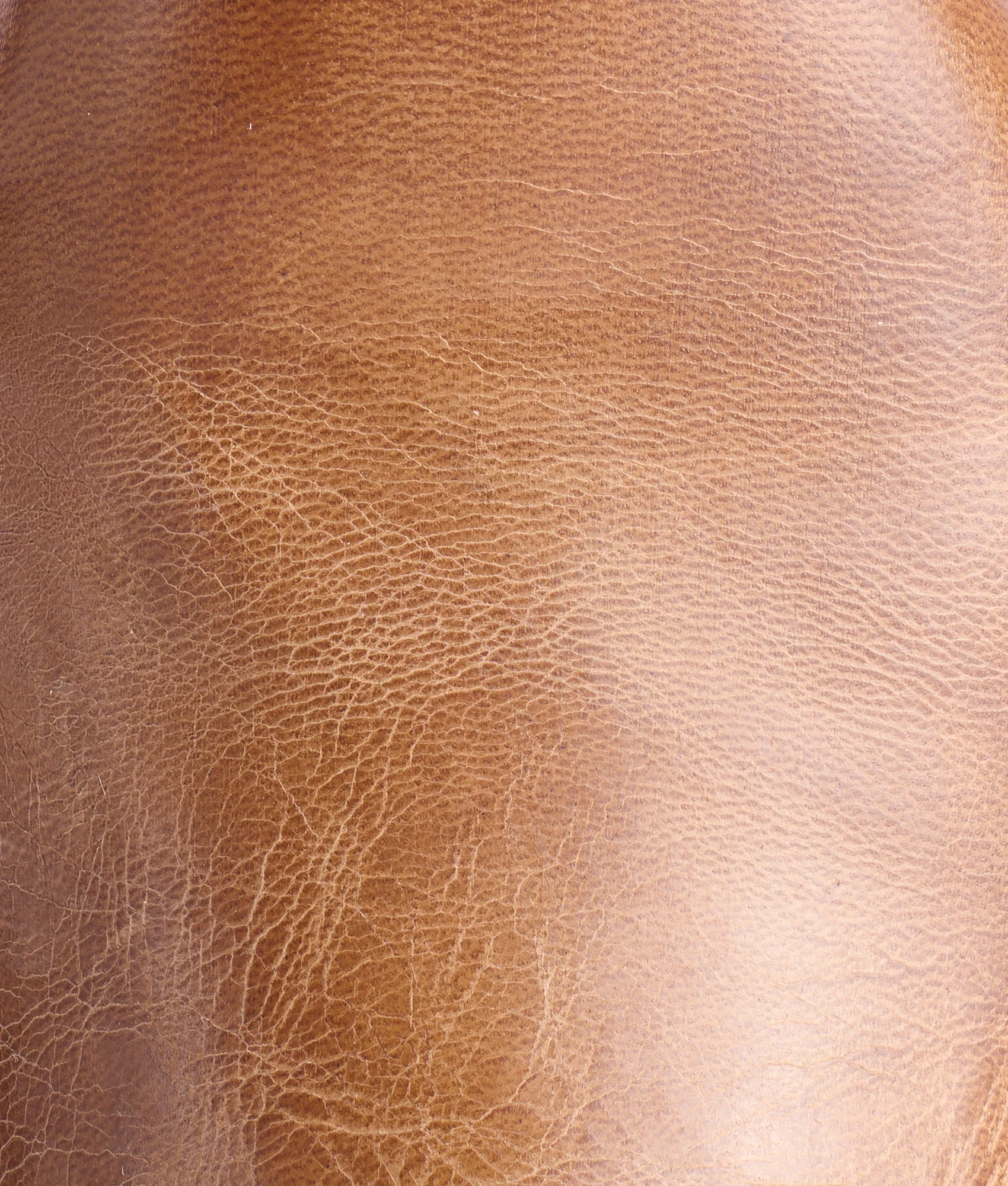 Sunset Roper :: Tan Goat