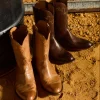 Sunset Roper :: Tan Goat