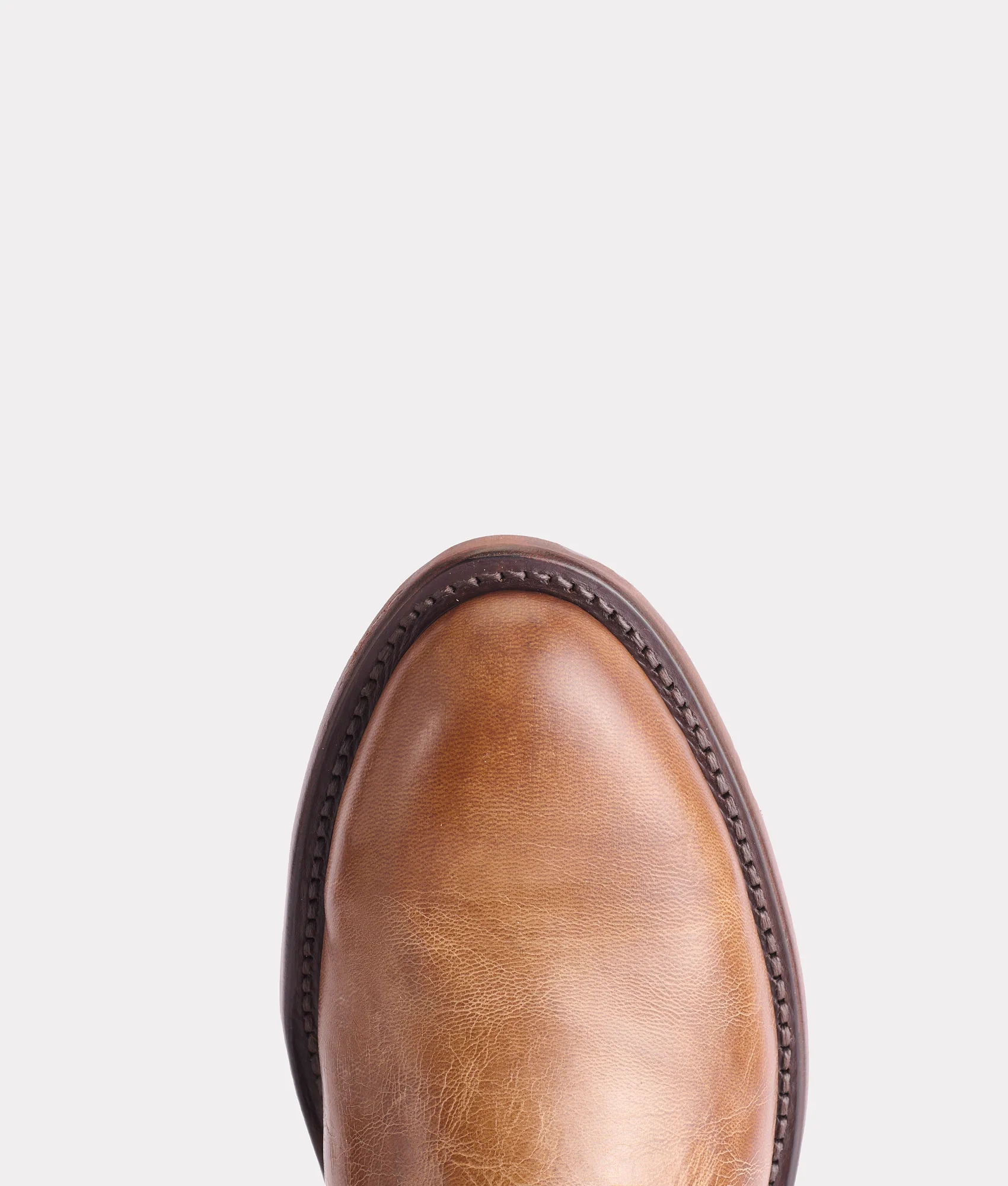 Sunset Roper :: Tan Goat