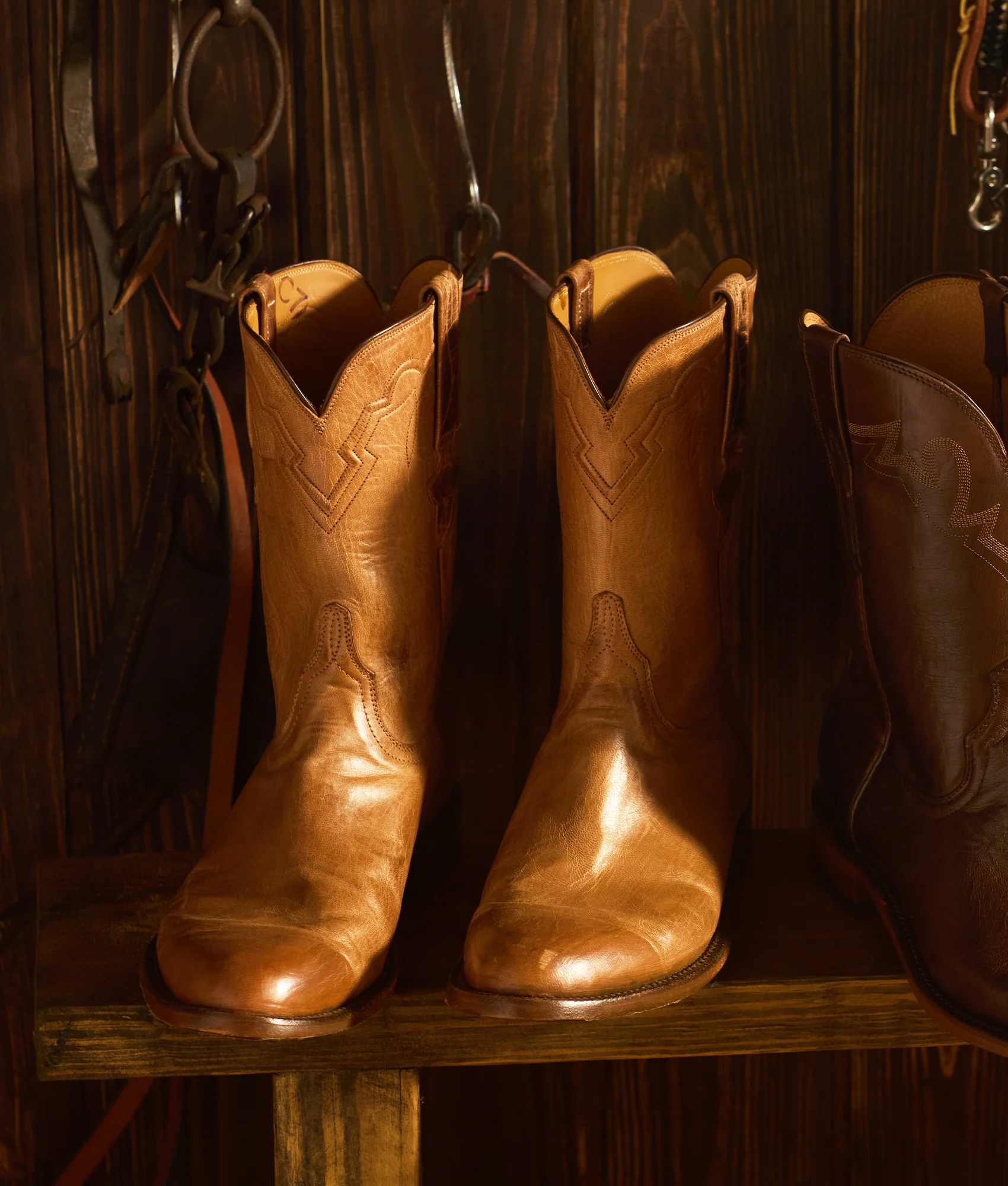 Sunset Roper :: Tan Goat
