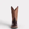 1183-rowdy-ostrich-antique-chocolate-4.webp Rowdy Ostrich :: Antique Chocolate