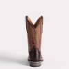 1183-rowdy-ostrich-antique-chocolate-5.webp Rowdy Ostrich :: Antique Chocolate