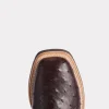 1183-rowdy-ostrich-antique-chocolate-7.webp Rowdy Ostrich :: Antique Chocolate