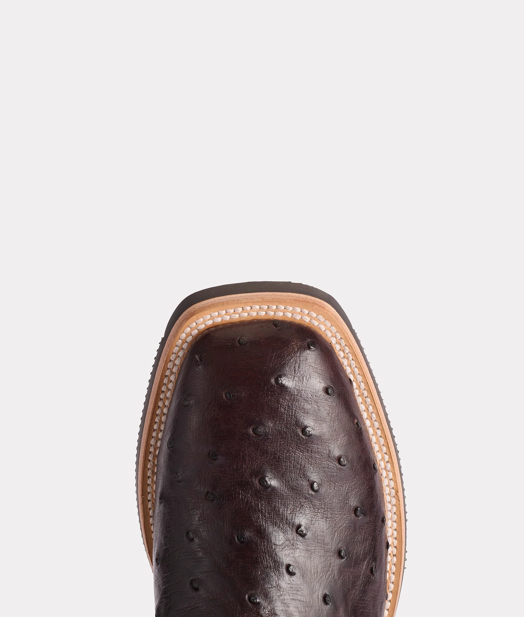 1183-rowdy-ostrich-antique-chocolate-7.webp Rowdy Ostrich :: Antique Chocolate