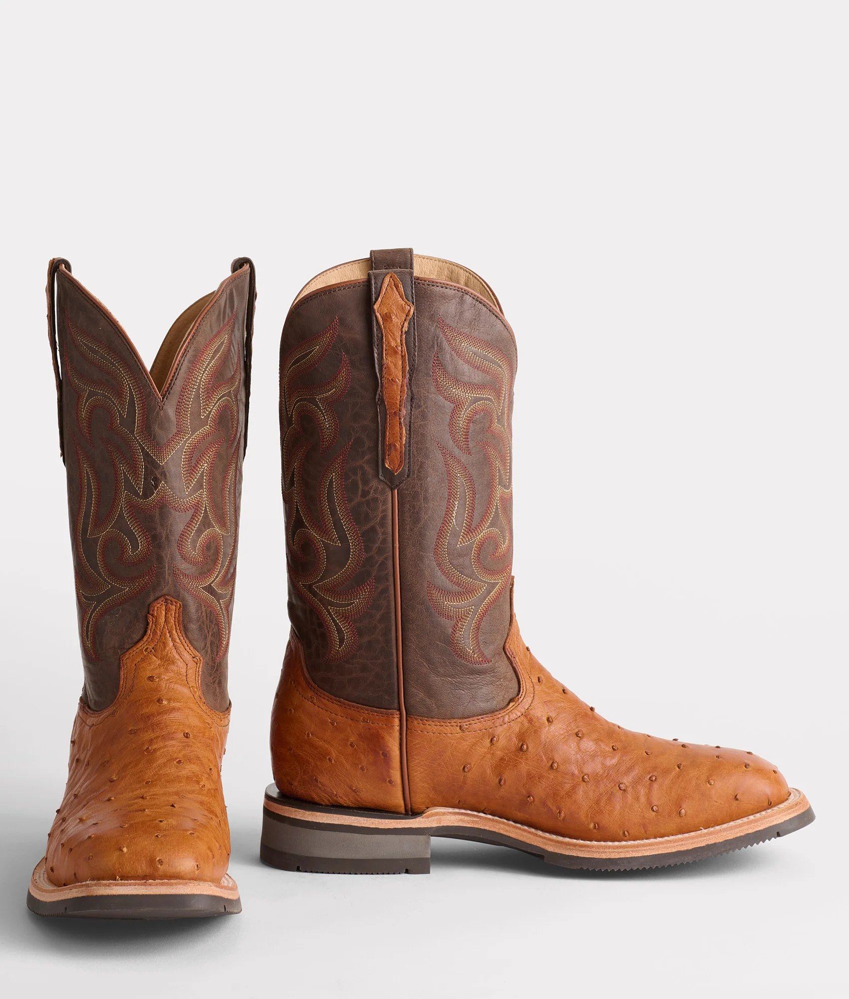 1205-rowdy-ostrich-cognac-brown-2.webp Rowdy Ostrich :: Cognac + Brown