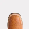 1205-rowdy-ostrich-cognac-brown-7.webp Rowdy Ostrich :: Cognac + Brown