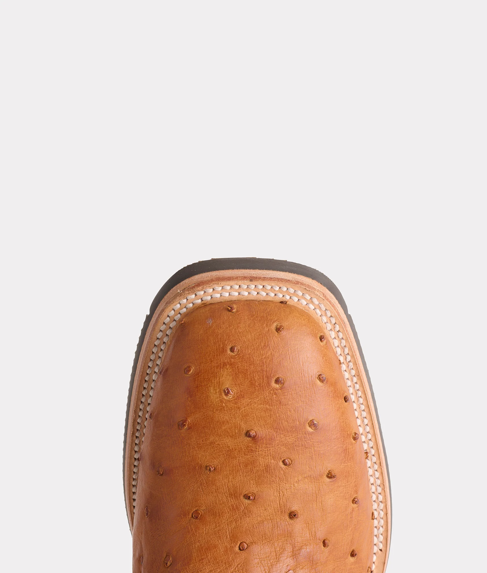 1205-rowdy-ostrich-cognac-brown-7.webp Rowdy Ostrich :: Cognac + Brown