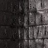 Walter :: Black