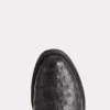 Zane :: Black