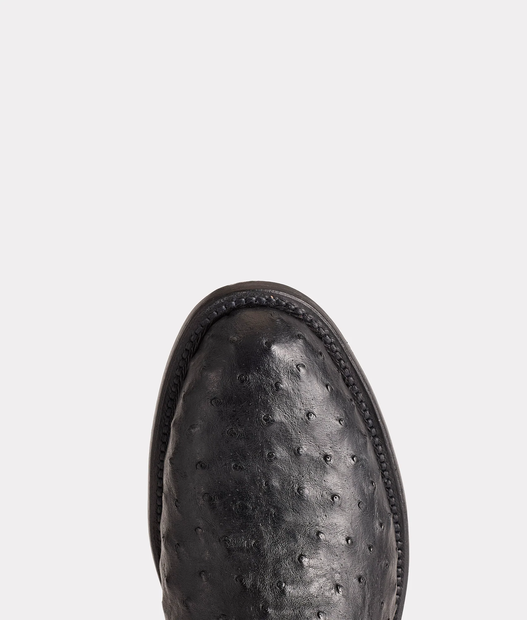 Zane :: Black
