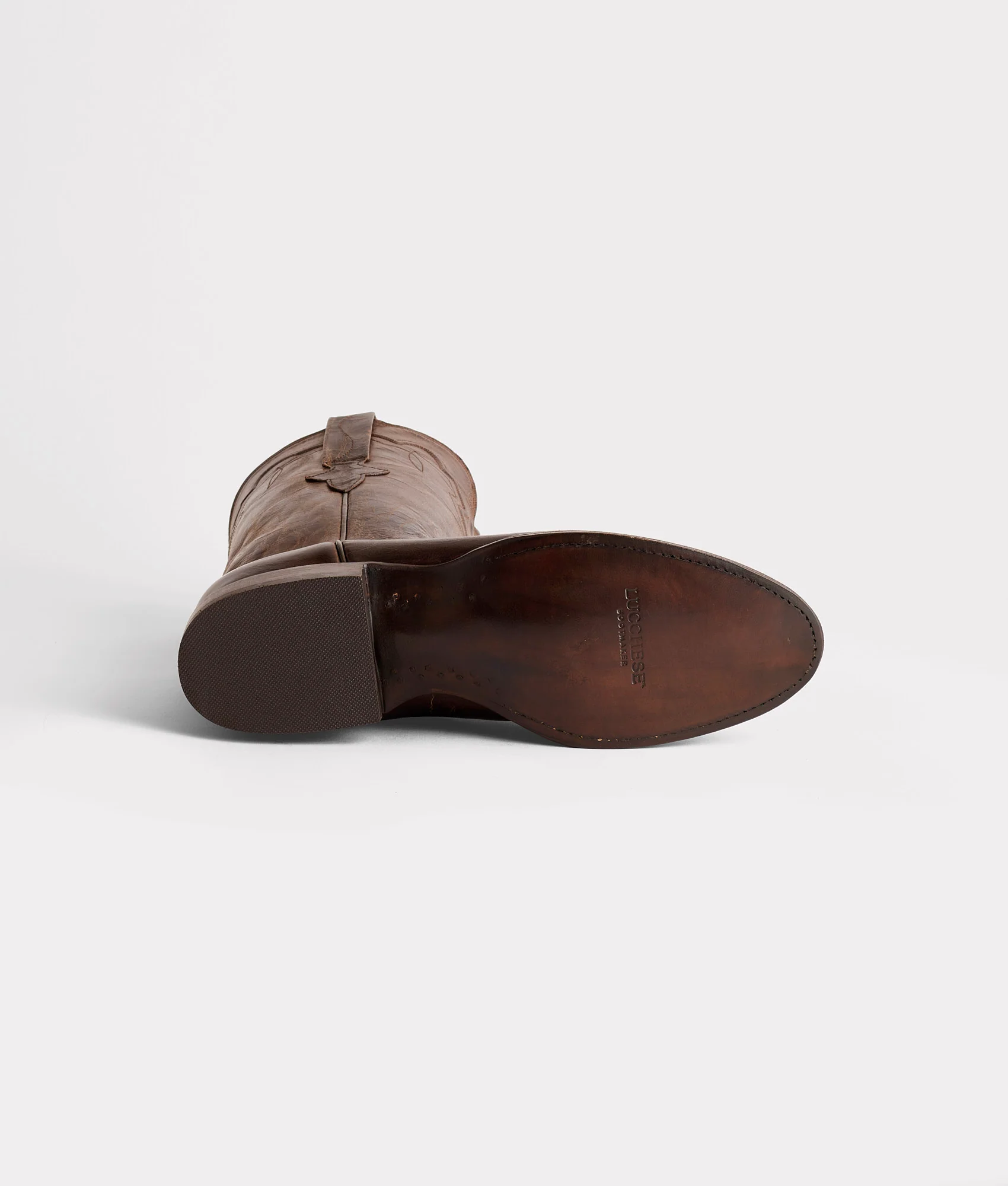 Tanner :: Chocolate
