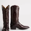 Gavin :: Brown